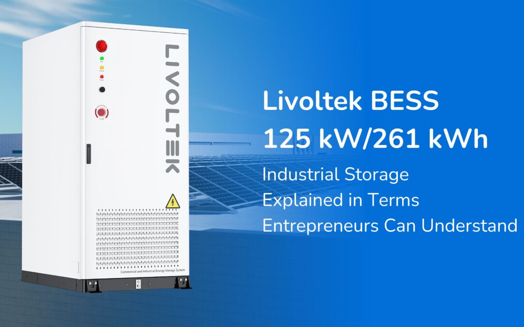 Livoltek BESS 25 kW/261 kWh. Industrial Energy Storage Explained for Entrepreneurs