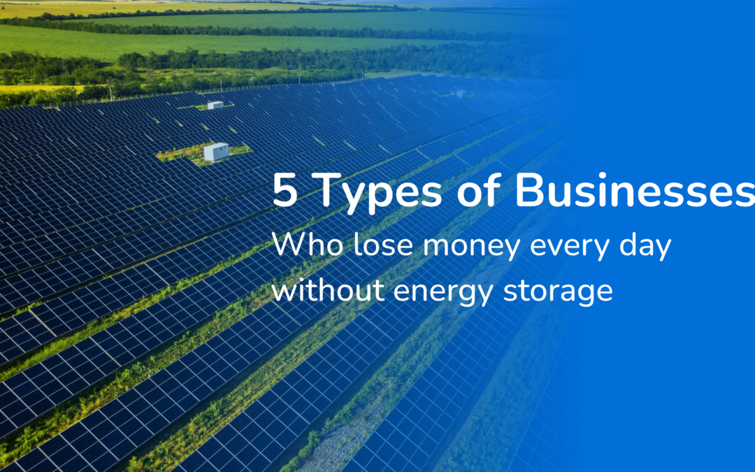 5 Types of Businesses That Lose Money Every Day Without Energy Storage