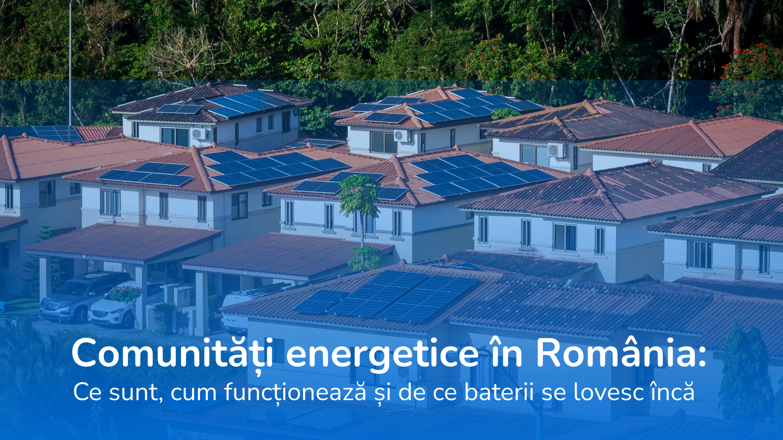 feedback livoltek romania