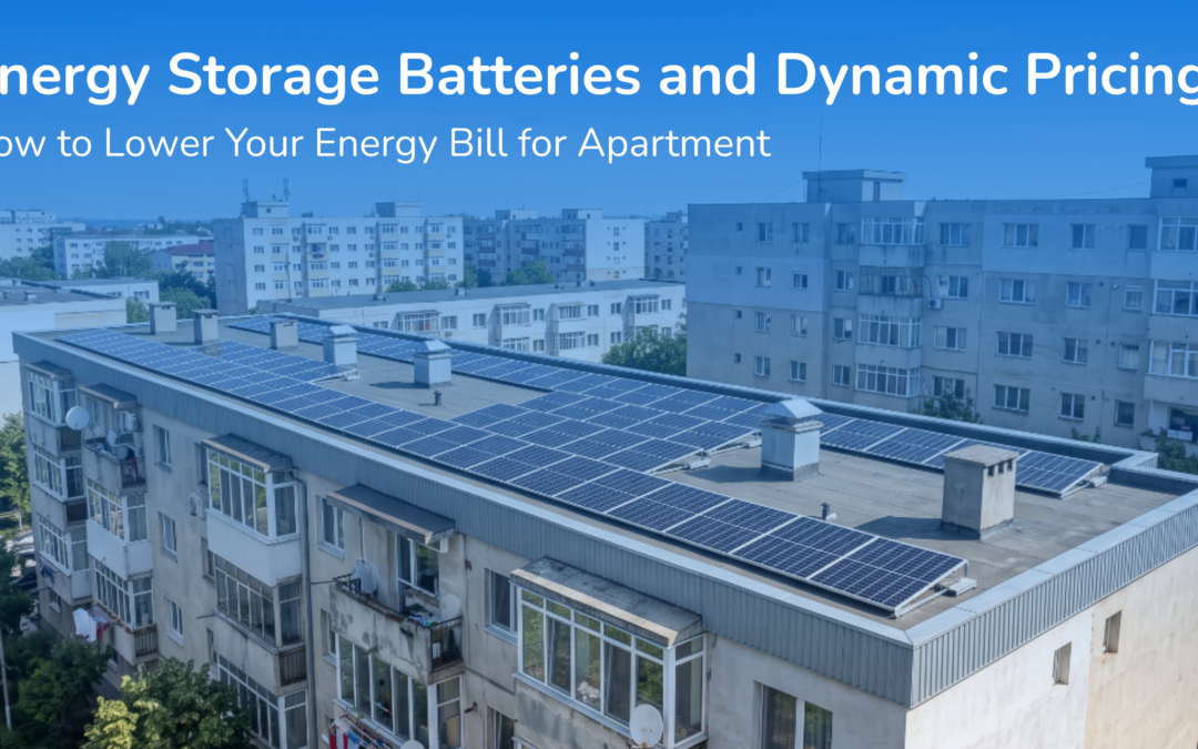 Energy Storage Batteries and Dynamic Pricing: How to Lower Your Energy Bill for Apartments
